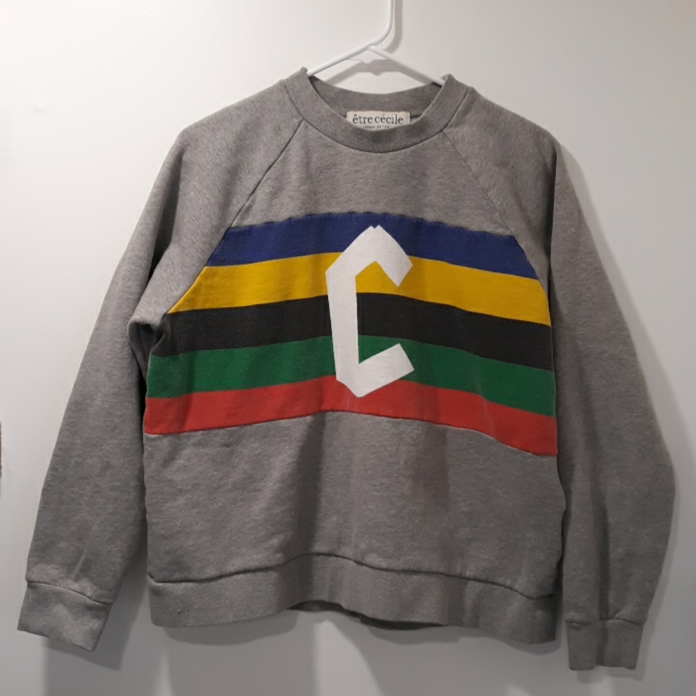 Gray Cropped Sweatshirt